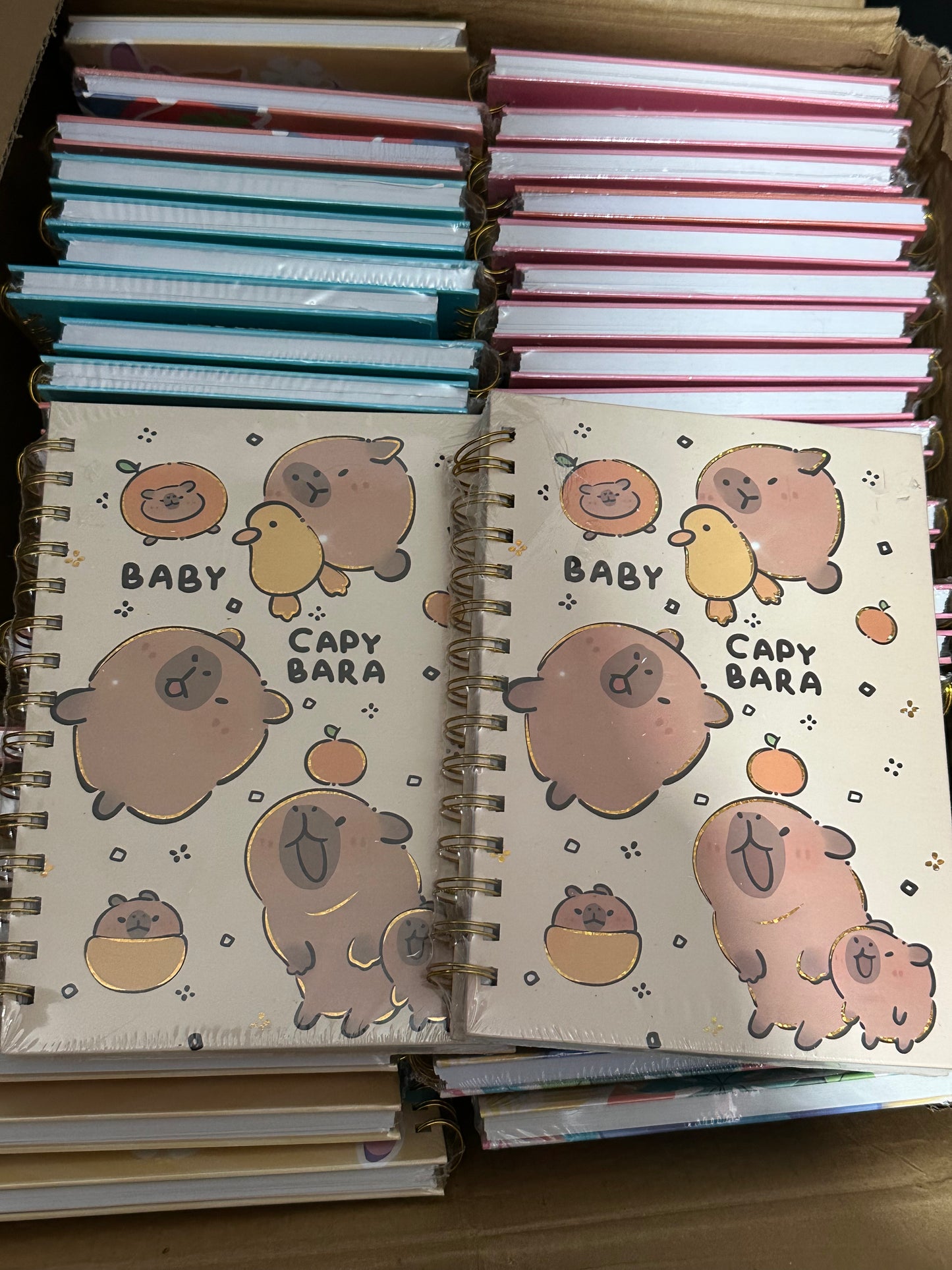 LIBRETA PASTA DURA CAPIBARA